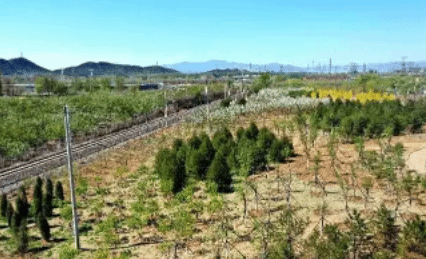 北京新一轮百万亩造林绿化工程完成增绿102万亩
