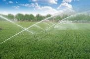 水利部部长：近十年中国农业灌溉用水基本实现零增长