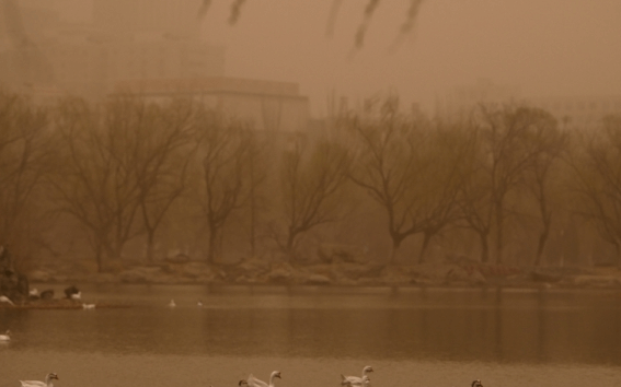 中国发生今年以来第8次沙尘天气 影响约4.09亿人