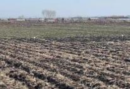 黑龙江春耕生产正当时 旱田播种超3000万亩