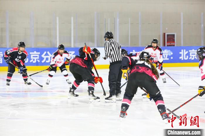 两支北京青年女子冰球队伍展开对抗 胡宗洋 摄