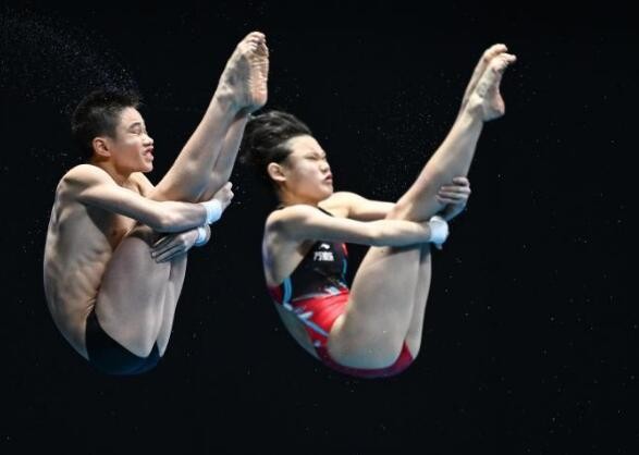 游泳世锦赛：跳水——混双10米台：王飞龙/张家齐夺冠
