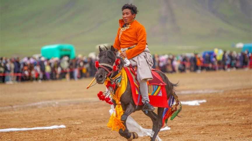 西藏日喀则：传统赛马传递马背上的风情