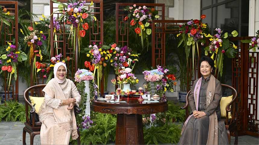 彭丽媛会见印尼总统夫人伊莉亚娜