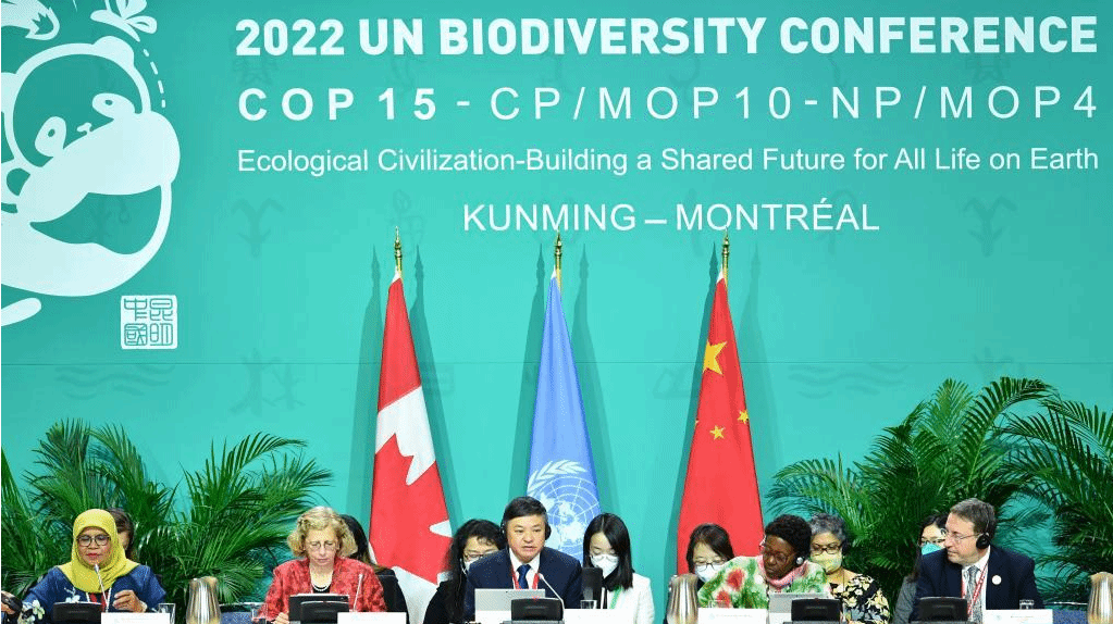 《生物多样性公约》第十五次缔约方大会第二阶段高级别会议开幕