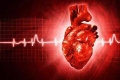 怎样保护心血管？三个方面让心血管更健康