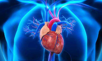 当心脏有这四种情况时 建议做冠状动脉造影