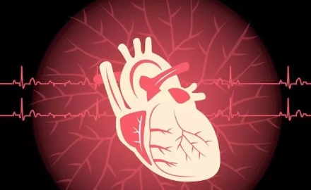 什么症状说明心脏不好 心脏病可能被它们触发