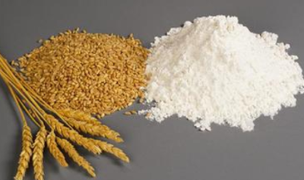 什么是小麦蛋白？小麦蛋白对人体有啥作用