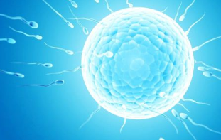 到底怎么监测排卵期？六种监测法助你好孕