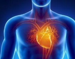 心脏供血不足的4大症状要警惕 3个方法能改善