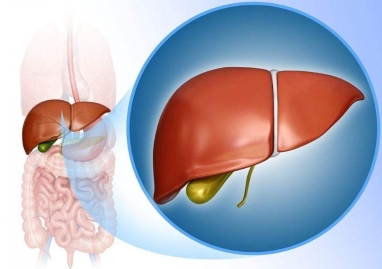 肝病发展有4个阶段 肝病预防需要注意什么