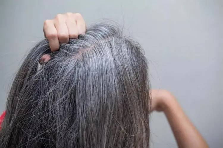拔一根长十根白发是真的吗 如何科学的减少白发 
