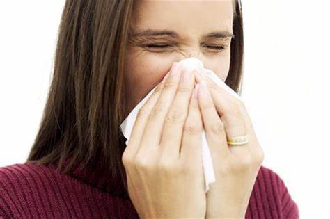 秋季到鼻炎闹 教你预防鼻炎小策略