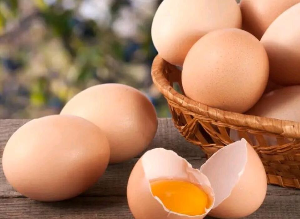小小的鸡蛋居然能保护心血管？一文让你爱上吃鸡蛋
