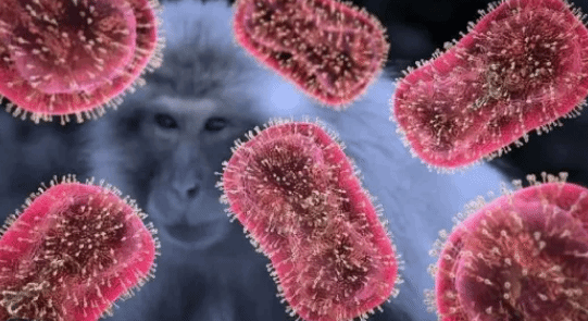 如何科学应对猴痘病毒？专家回应热点关切