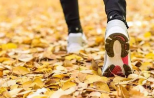 如何做到秋季不长胖？保持合理的运动频率