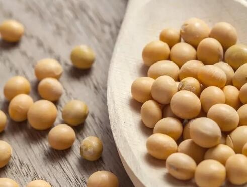 吃大豆会性早熟还致癌？其实好处非常多