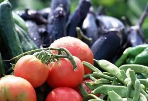 五种方法教你最大程度保留蔬菜营养