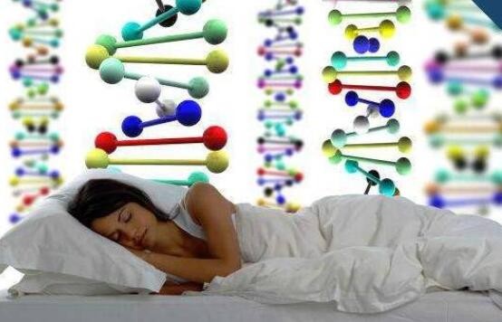 遗传决定是早睡现还是晚睡型？总结6个关于睡眠的常识