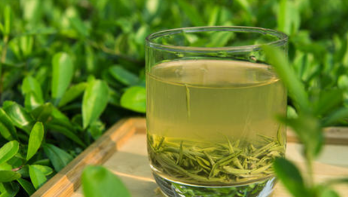 喝绿茶预防胃癌不靠谱不妨多吃大蒜和番茄