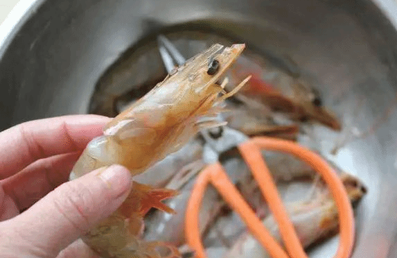 洗龙虾被刺伤竟要截肢？创伤弧菌是什么