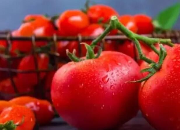 多吃番茄能美白？真相并不是这样哦