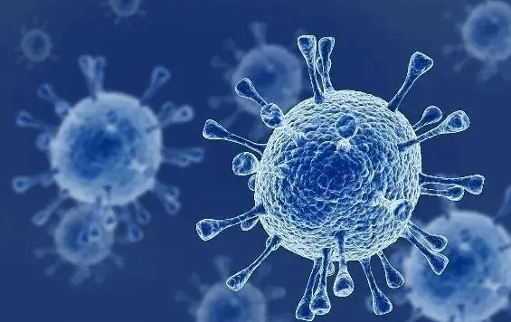 呼吸道合胞病毒是什么？与流感和新冠如何区分