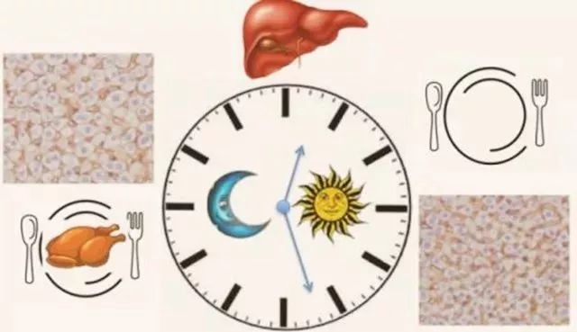 吃多少合适几点睡觉健康?久坐多长时间有害