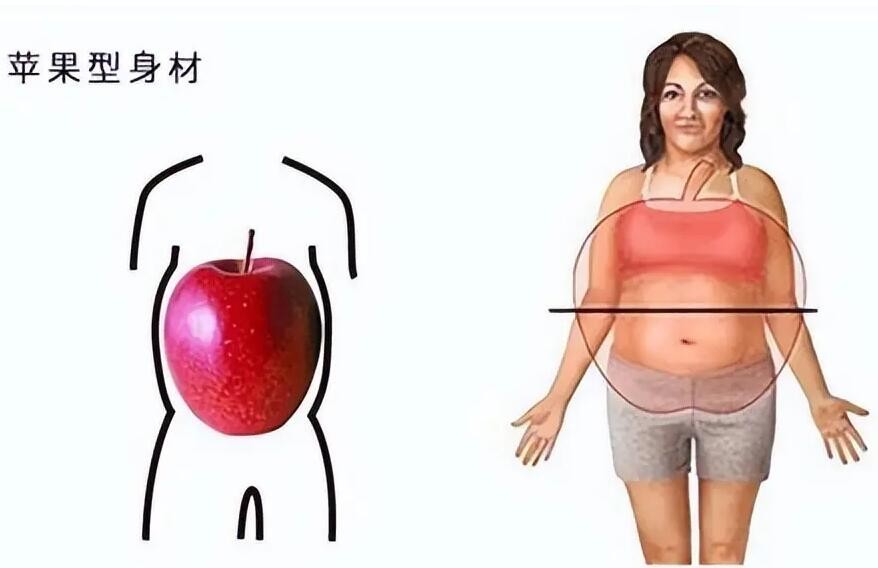 女性苹果型身材对健康危害更大