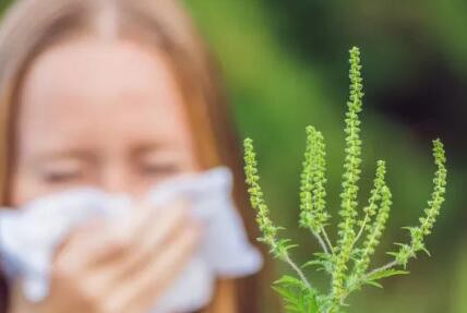 如何预防和治疗季节性变应性鼻炎？