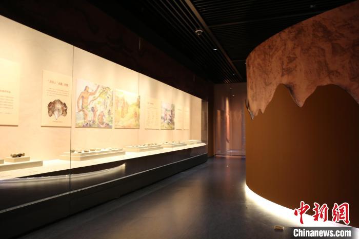 展览展出了周口店遗址的139件(套)文物。　太原市博物馆供图