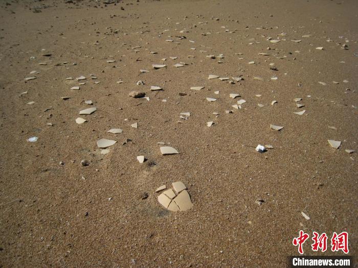 散布在马达加斯加海滩或埋藏沙丘中的象鸟蛋碎片(摄于2006-2007年)。　Gifford Miller　摄