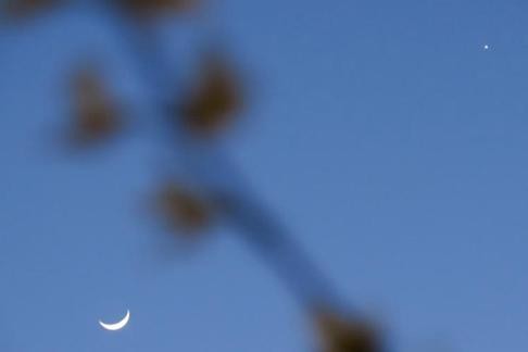“月掩金星”24日上演 如何观测