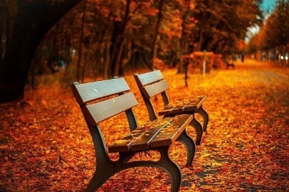 古诗词中的秋天美景 可谓天高云淡 秋意微凉