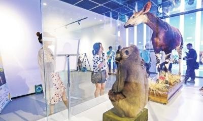武汉东湖风景区湖心岛动物博物馆开放