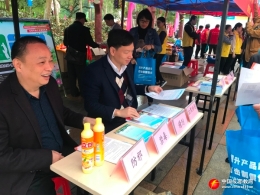 广州市黄埔区在“禾雀花文化旅游节”宣传反邪教